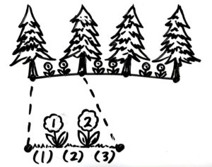 植木算の応用問題 難問 木と木の間 長方形に面に植える 中学受験 そうちゃ式 受験算数 新1号館 数論 特殊算